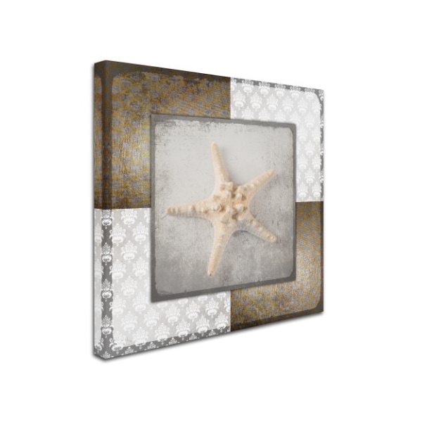 LightBoxJournal 'Vintage Nautical Star 2' Canvas Art,24x24